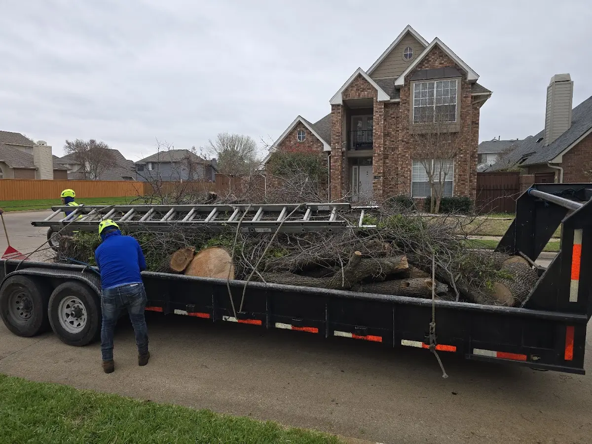 Expert Lot Clearing with proper safety equipment in Fort Jennings